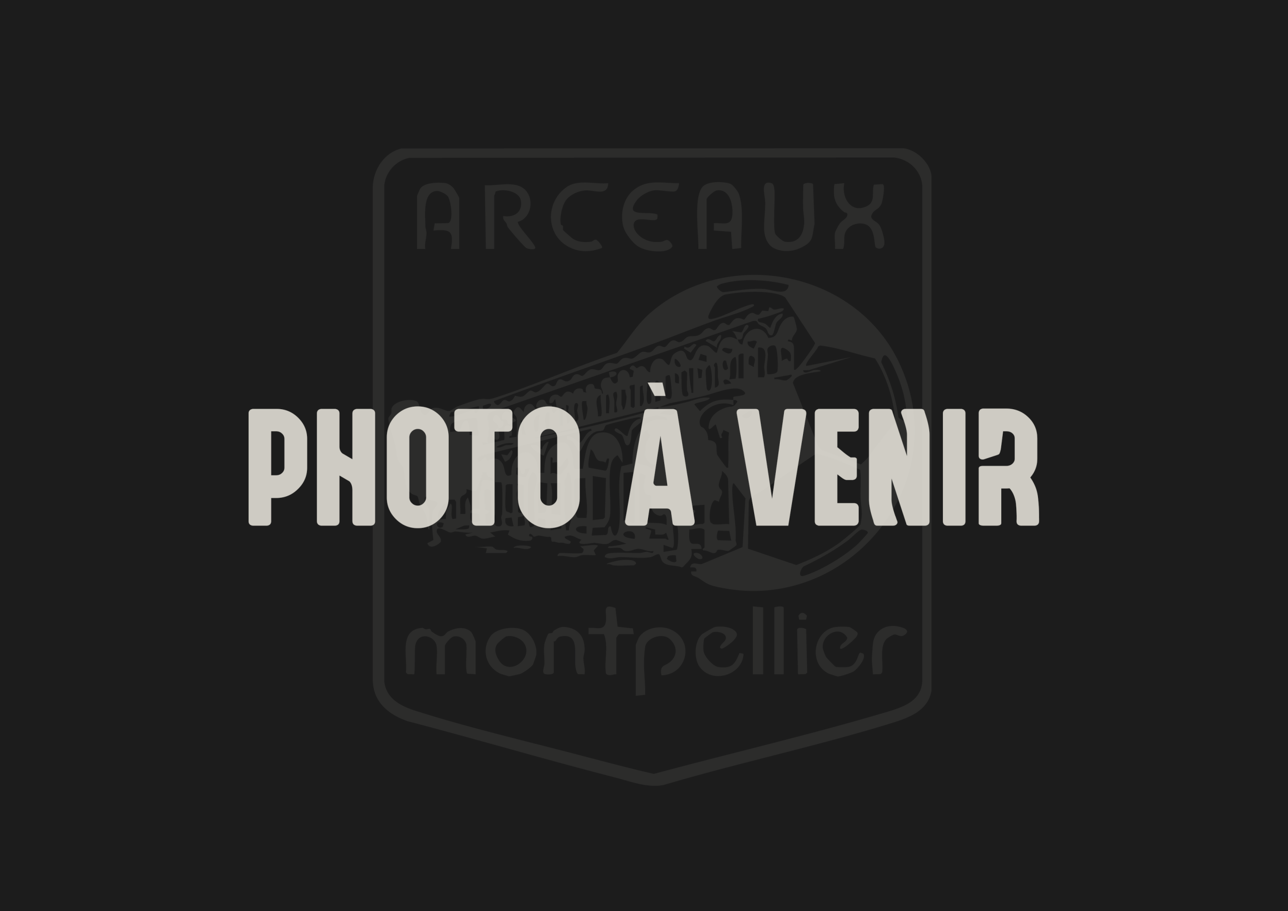 fc-arceaux-photo-a-venir fc-arceaux-photo-a-venir